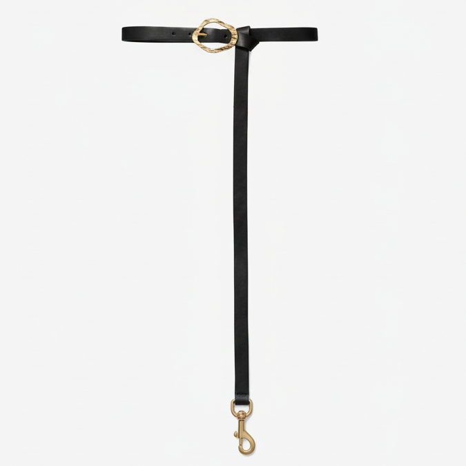 Black leather leash belt with gold hardware on a white background